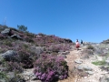 IMG_20190511_110308