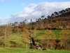 Cam.-no-Planalto-da-Serra-de-Montemuro-2-Fev-2013-149