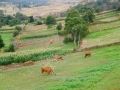DSC03117