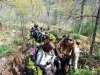 cam-sag-primavera-2013-00-375