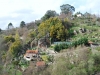 vias-romanas-09-mar-2013-684-154