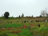 vias-romanas-09-mar-2013-684-42