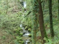 DSC02919