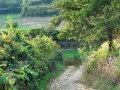 viseu32