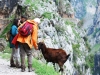 picos-da-europa-rota-de-cares-junho-2013-043-184