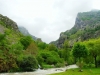 picos-da-europa-rota-de-cares-junho-2013-043-53