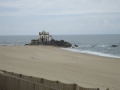 DSC02951