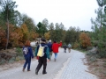 Cernancelhe235