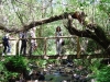 cam-miranda-corvo-11-maio-2013-622-62