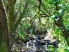 cam-miranda-corvo-11-maio-2013-622-90