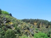 cam-miranda-corvo-11-maio-2013-818
