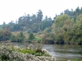Cam. Rio Lima a (57)