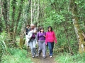 tabua04