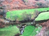 Cam.-no-Planalto-da-Serra-de-Montemuro-2-Fev-2013-117