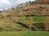 Cam.-no-Planalto-da-Serra-de-Montemuro-2-Fev-2013-151