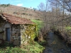 Cam.-no-Planalto-da-Serra-de-Montemuro-2-Fev-2013-153