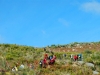 Cam.-no-Planalto-da-Serra-de-Montemuro-2-Fev-2013-42