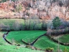 Cam.-no-Planalto-da-Serra-de-Montemuro-2Fev2013-108-121
