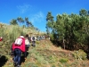 Cam.-no-Planalto-da-Serra-de-Montemuro-2Fev2013-108-9