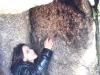 cam-s-aboboreira-23-mar-2013-975-41