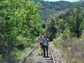17 Maio 2015 1677 (231)