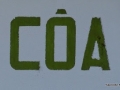 FC13