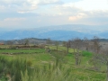 sagracao32