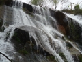 DSC02894