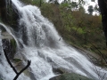 DSC02895