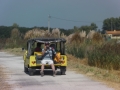 IMGA0881