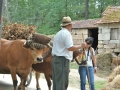 Cam_Rio_Ovelha_12_set_2015_051