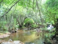 Cam_Rio_Ovelha_12_set_2015_138