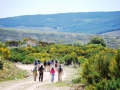 estrela04