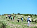 estrela14