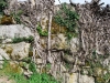 vias-romanas-09-mar-2013-684-121