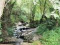 viseu29