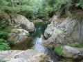 DSC01984