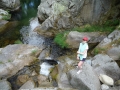 DSC01986
