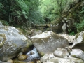 DSC01989