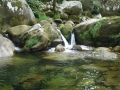 DSC02006
