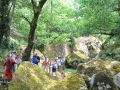 Desc, do Bestança 2015 (161)