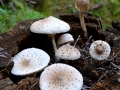 20141025_105314
