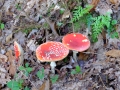 20141025_111048