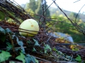 20141025_112220