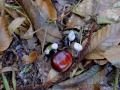 20141025_112755