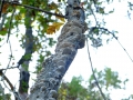 20141025_112928