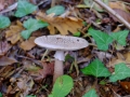 20141025_113612