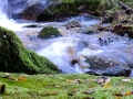 20141025_113922