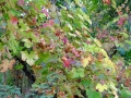 20141025_154423